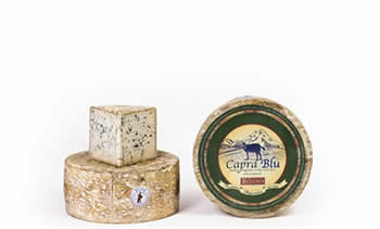 formaggio Capra blu