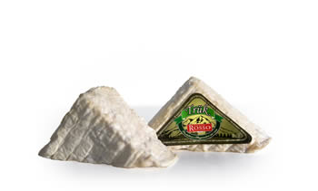  Trük - MOULDY cheeses